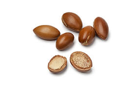 huile végétale bio argan